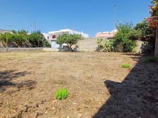 Terreno agricolo in vendita a castrignano del capo via francesco petrarca, 22