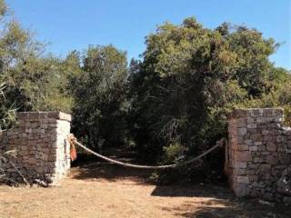 Terreno agricolo in vendita a patù via volito s.n.c.