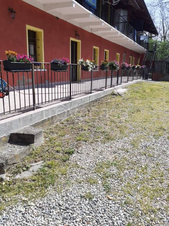 immagine annuncio 1 di 12