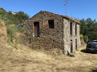 Terreno agricolo in vendita a piraino contrada zicco