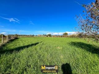 Terreno residenziale in vendita a nettuno via acciarella, 281