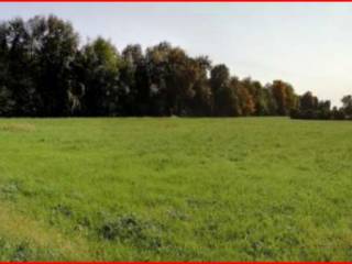 Terreno agricolo in vendita a fara vicentino via costa