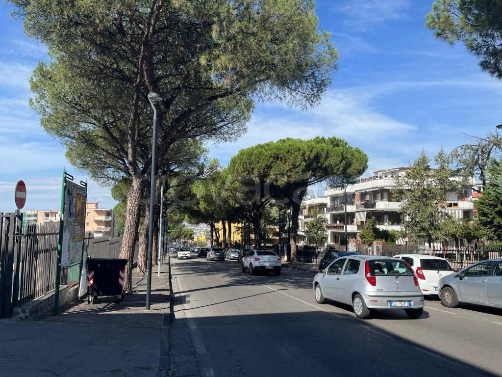 immagine annuncio 1 di 7