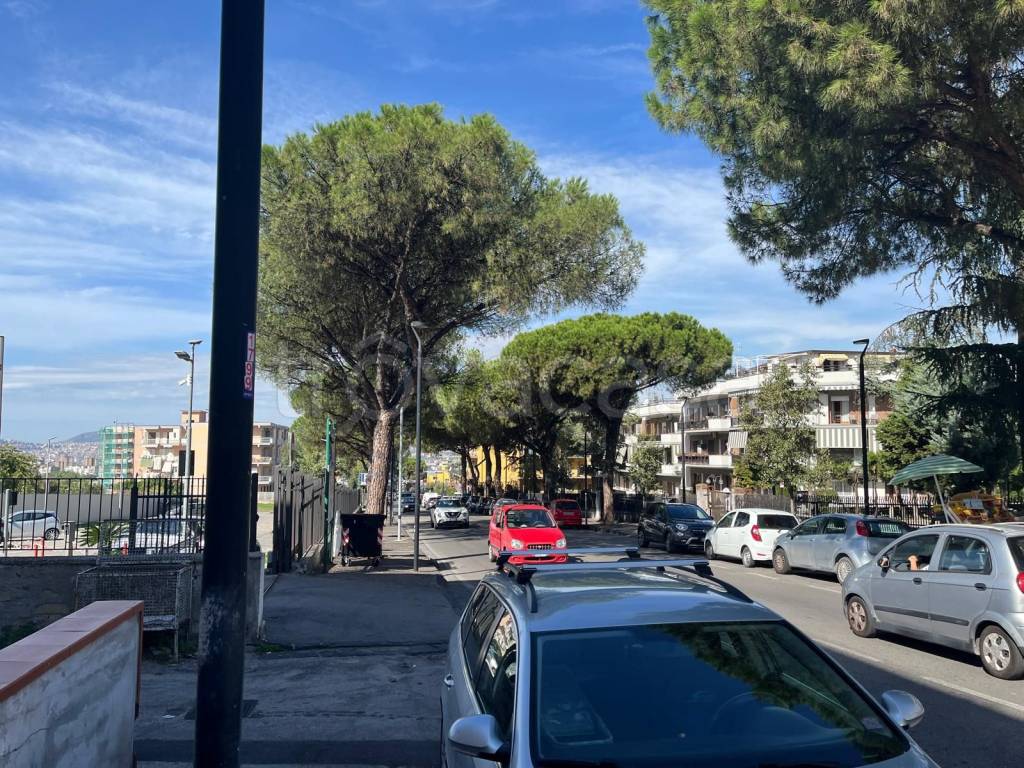 immagine annuncio 6 di 7