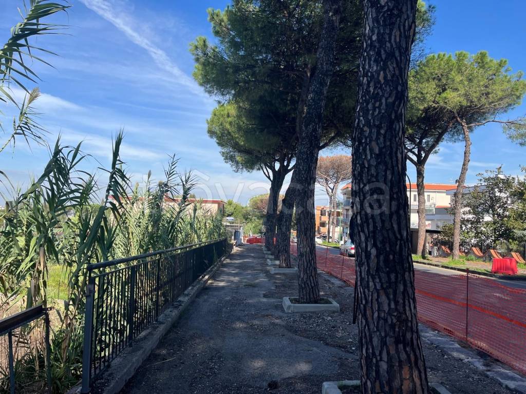 immagine annuncio 2 di 7