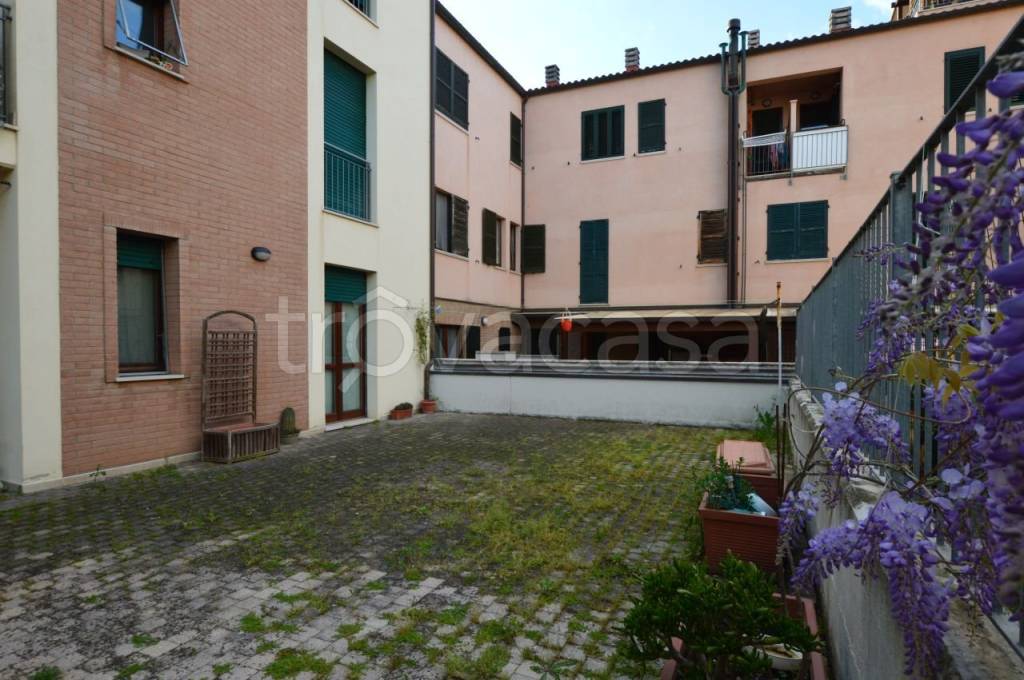 immagine annuncio 9 di 13