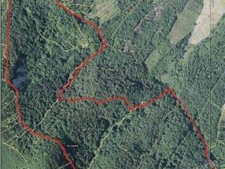 Terreno agricolo in vendita a pellegrino parmense località monte pietra nera