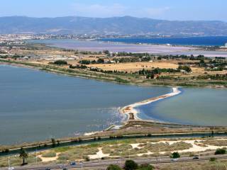 Appartamento in affitto a cagliari viale poetto