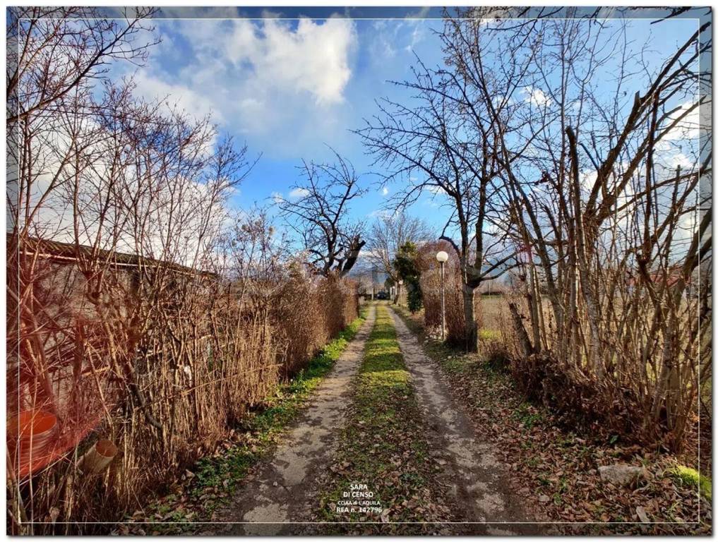 immagine annuncio 10 di 11
