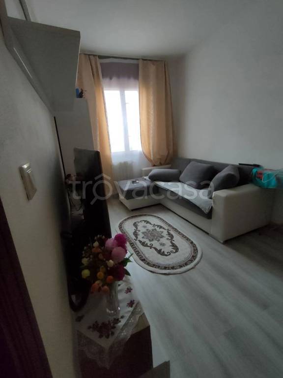 immagine annuncio 1 di 12