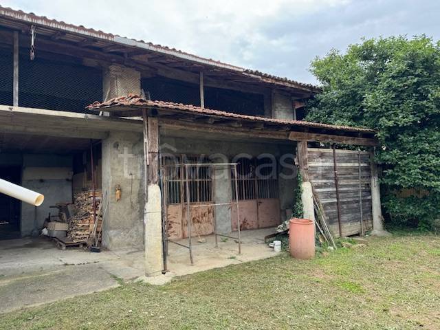 immagine annuncio 2 di 11