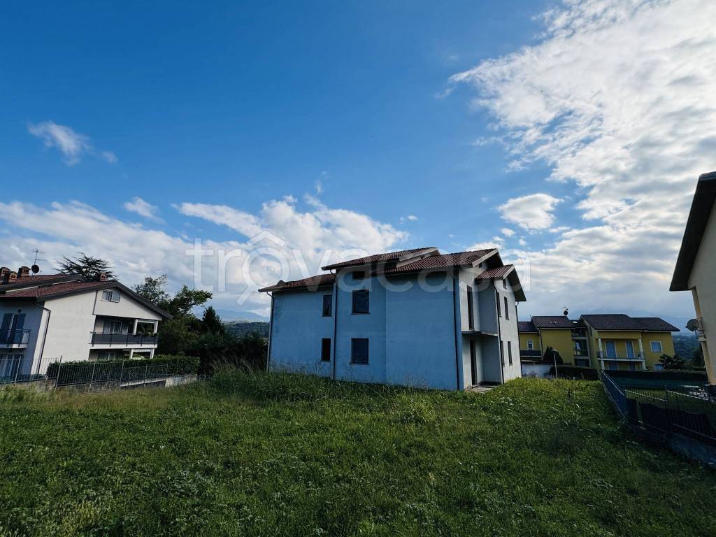 immagine annuncio 5 di 14