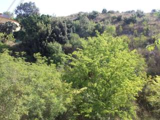 Terreno agricolo in vendita a monreale via montefiascone s.n.c.