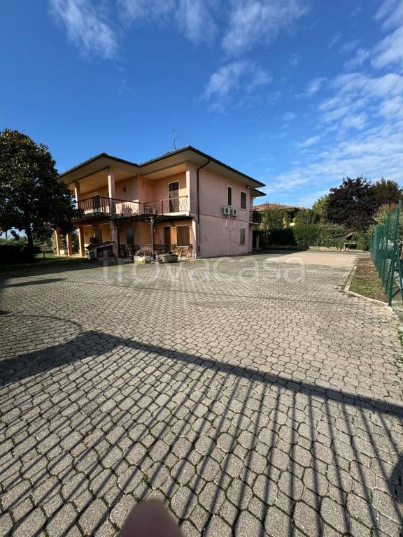 immagine annuncio 11 di 15