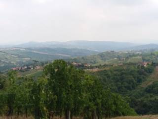 Capannone industriale all'asta a stradella frazione solinga