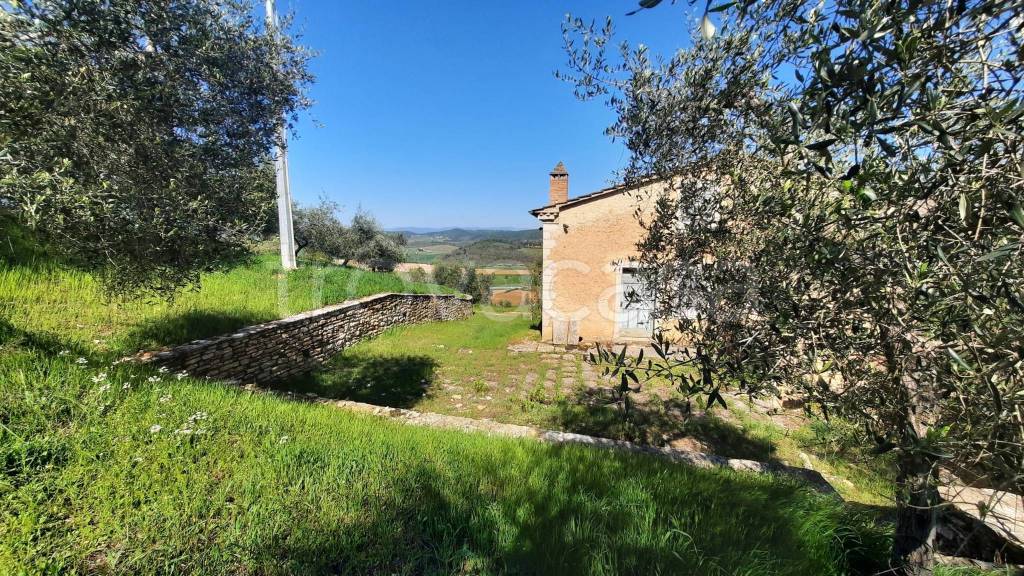 immagine annuncio 4 di 14