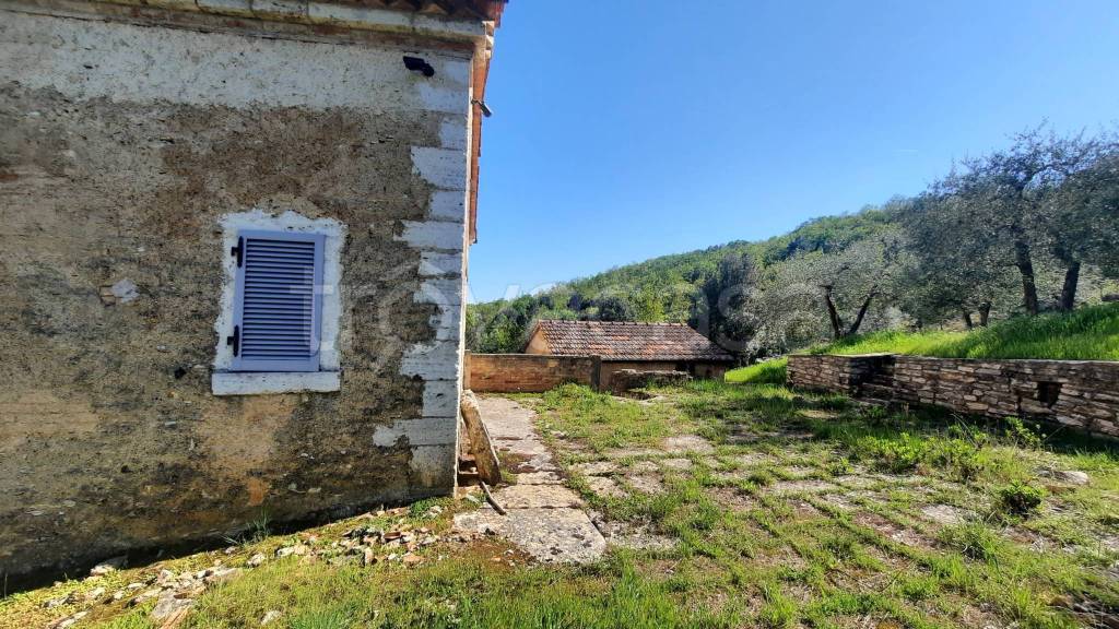 immagine annuncio 7 di 14