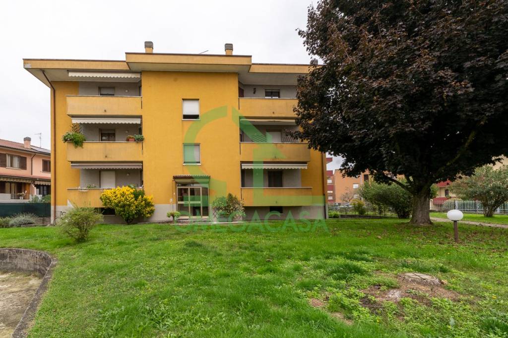 immagine annuncio 12 di 14