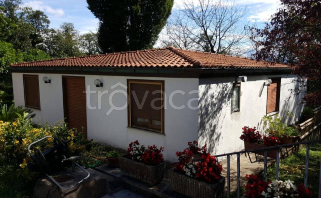 immagine annuncio 7 di 12