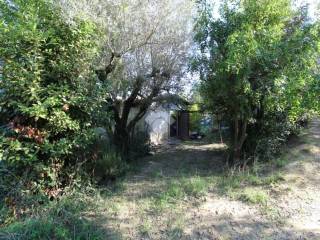 Terreno agricolo in vendita a monsampolo del tronto contrada maiano