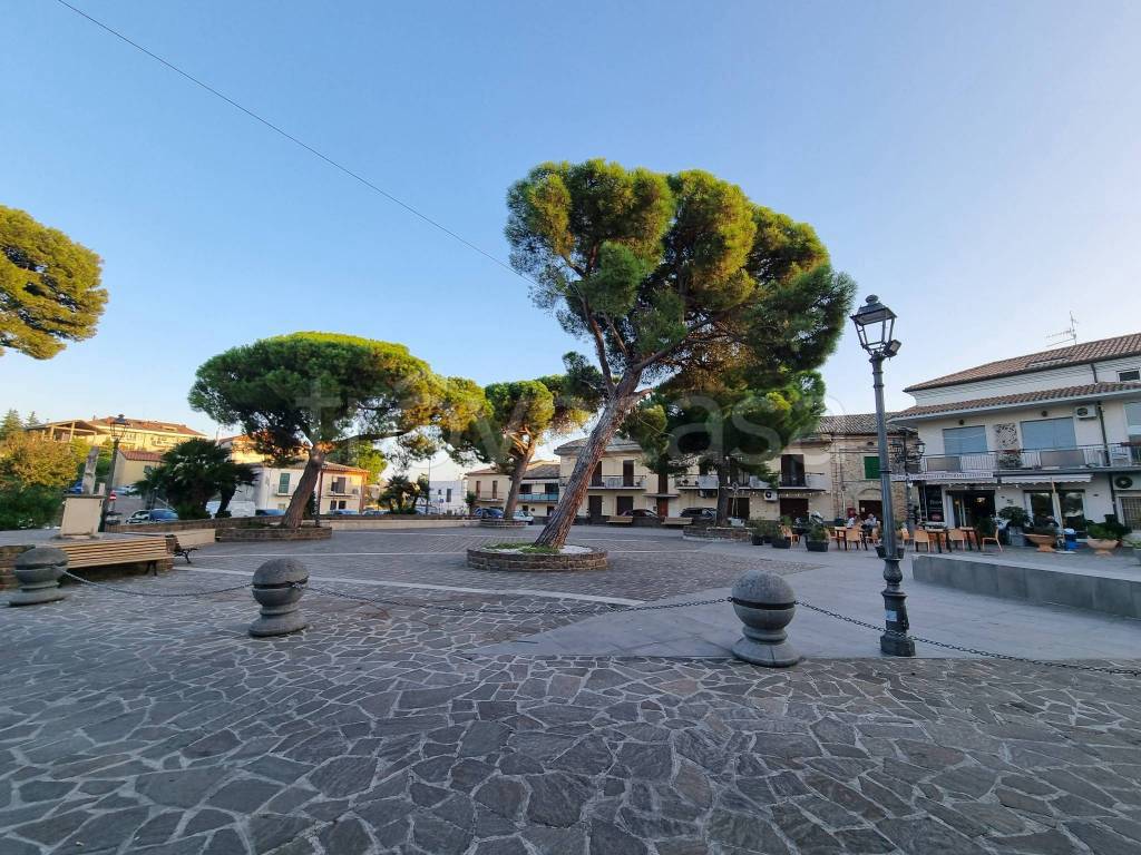 immagine annuncio 2 di 12