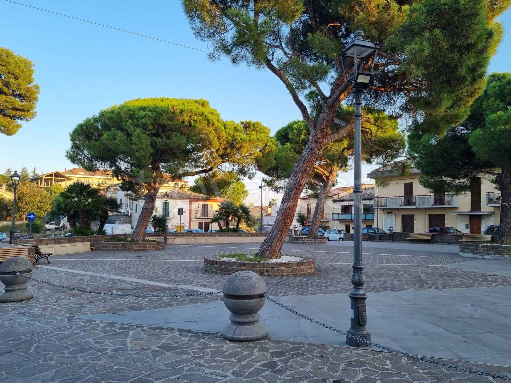 immagine annuncio 3 di 12