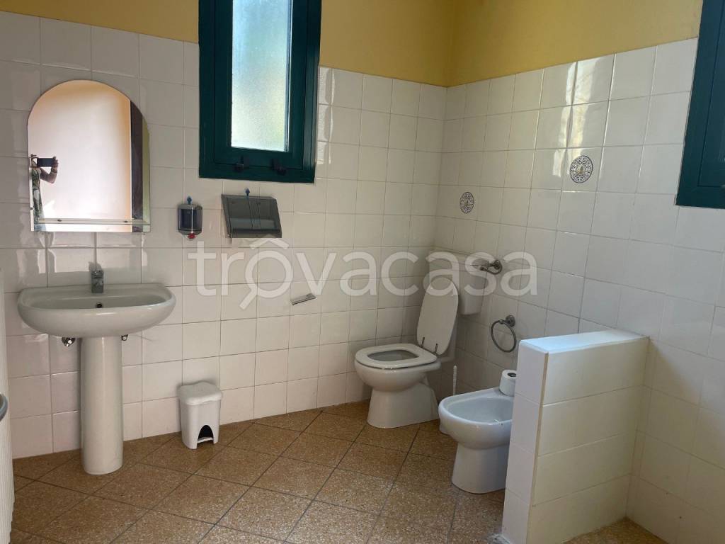 immagine annuncio 9 di 14