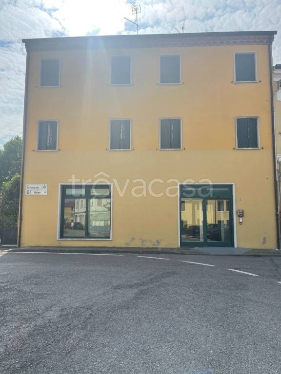 immagine annuncio 11 di 14