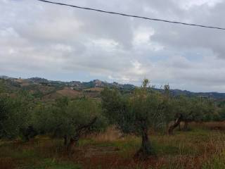 Terreno residenziale in vendita a spoltore via san cosimo caprara