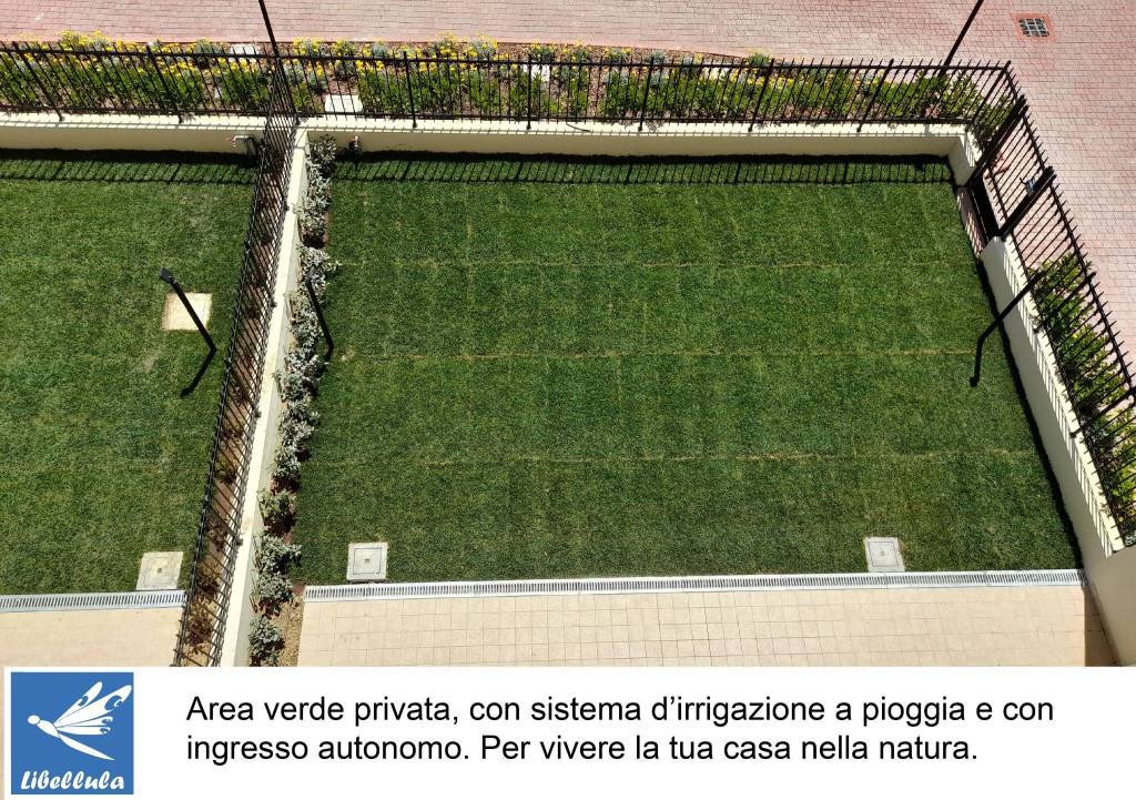 immagine annuncio 14 di 15