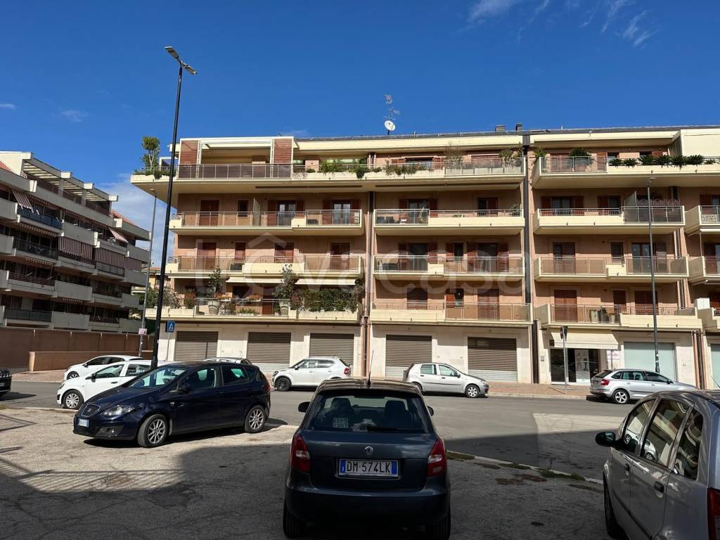 immagine annuncio 3 di 6