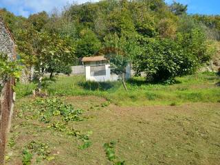 Terreno agricolo in vendita a mallare loc codevilla