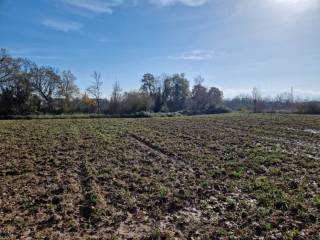 Terreno agricolo in vendita a roccasecca via ortella