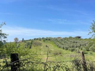 Terreno agricolo in vendita a palombara sabina strada del pascolaretto