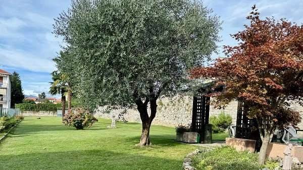 immagine annuncio 7 di 8
