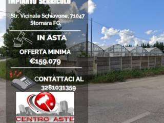 Capannone industriale all'asta a stornara str. vicinale schiavone, 71047 stornara fg, italia