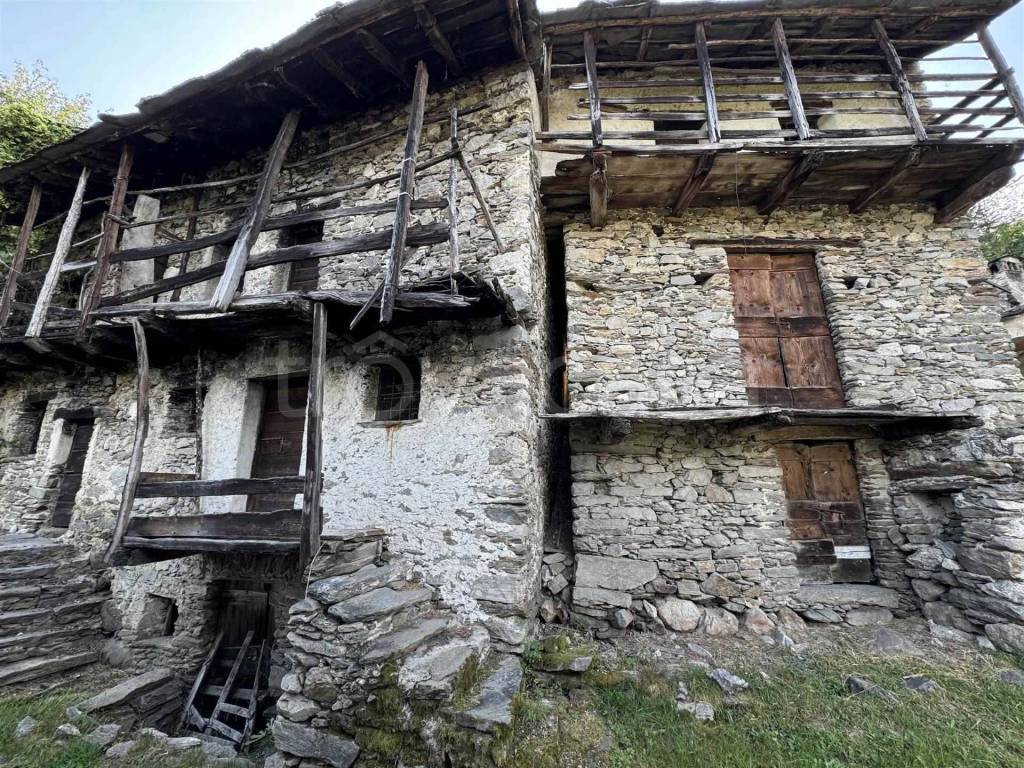 immagine annuncio 1 di 12