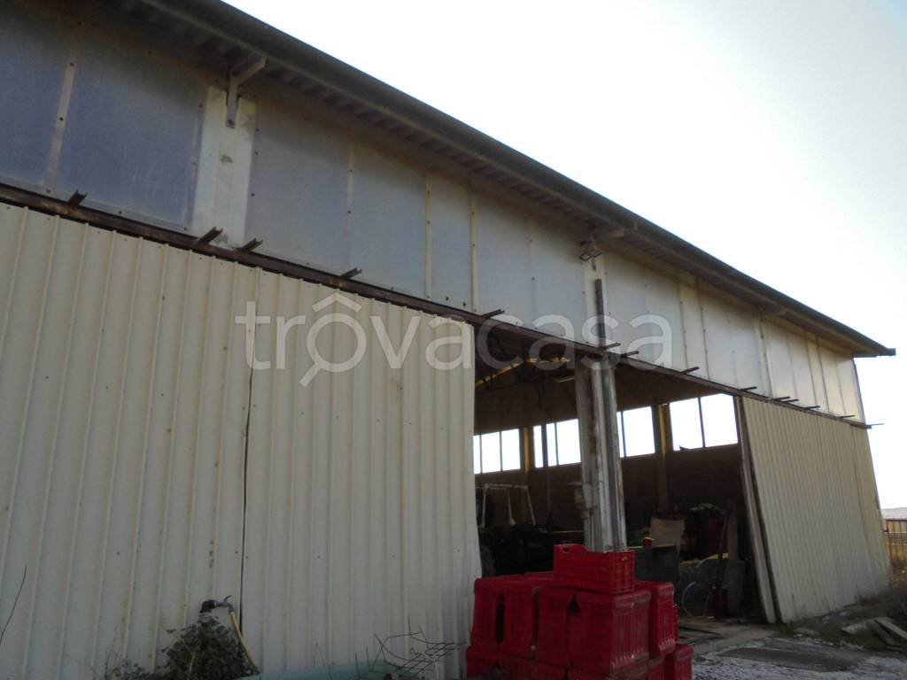 immagine annuncio 2 di 6