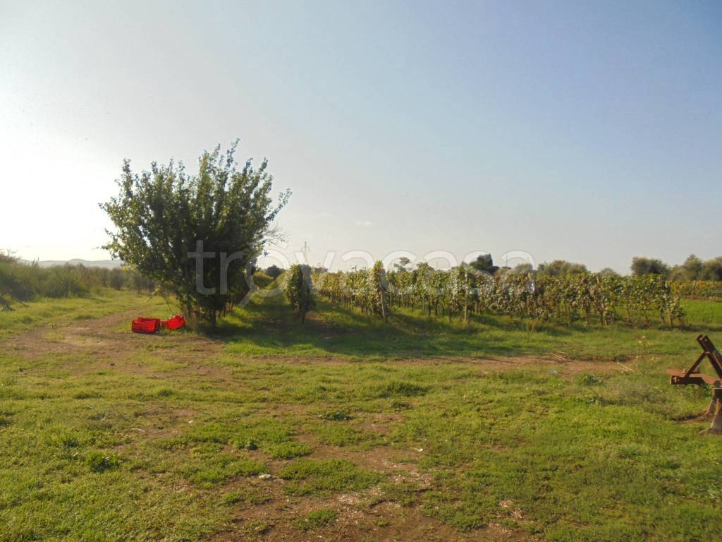 immagine annuncio 4 di 6