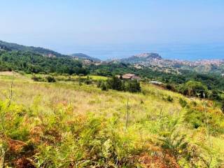 Appartamento in vendita a belvedere marittimo piano la poma