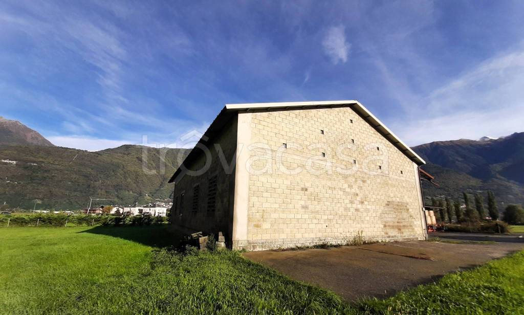 immagine annuncio 2 di 11