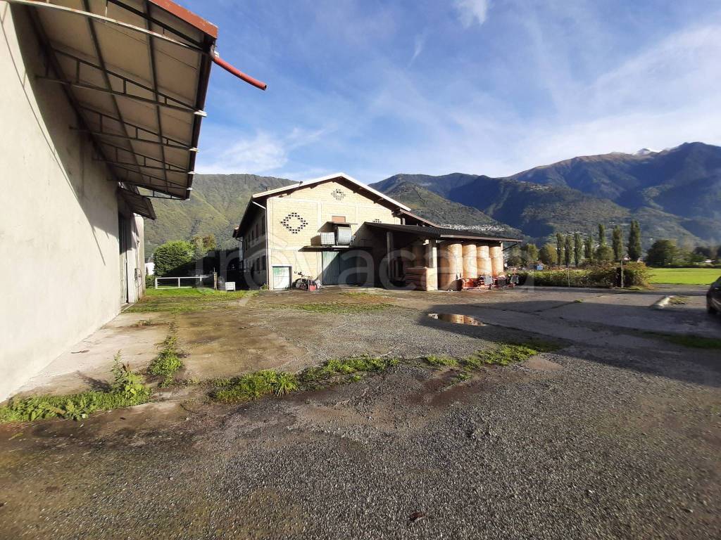 immagine annuncio 4 di 11