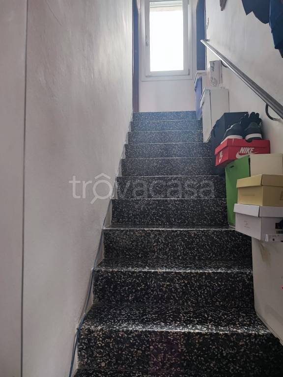 immagine annuncio 5 di 14