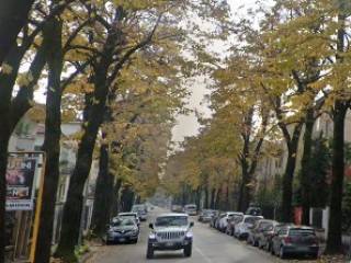 Appartamento in affitto a vicenza viale del mercato nuovo