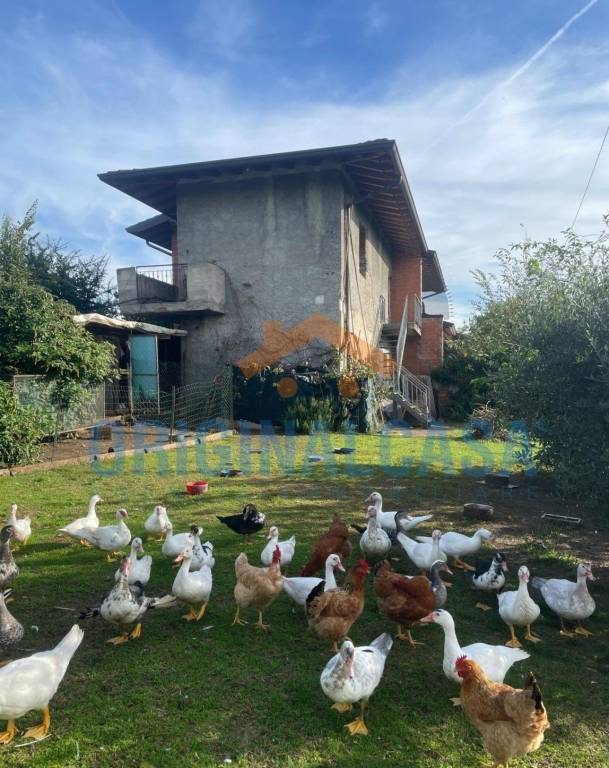 immagine annuncio 9 di 15