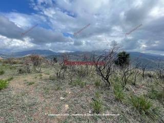 Terreno agricolo in vendita a cefalù contrada capo