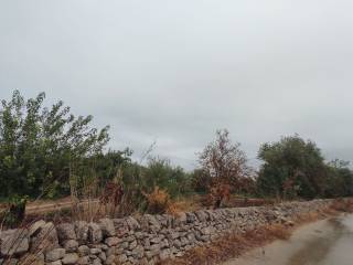 Terreno agricolo in vendita a noto strada provinciale favarotta-ritillini