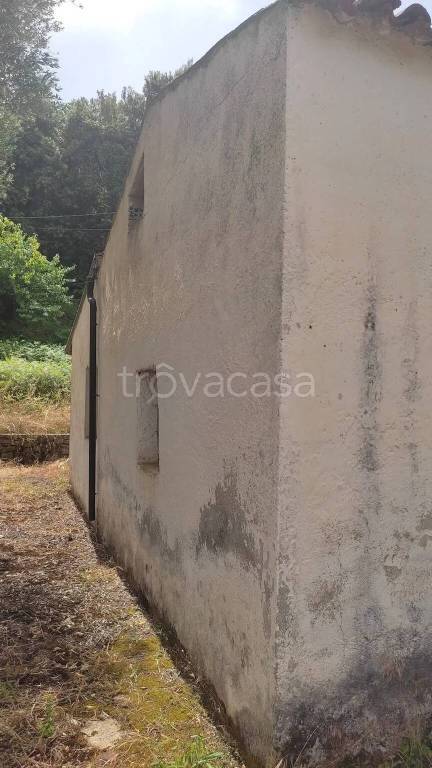 immagine annuncio 8 di 14