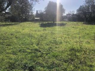 Terreno agricolo in vendita a roma via lanfranco di pavia, 49