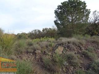 Terreno agricolo in vendita a camporotondo etneo viale dello sport s.n.c.